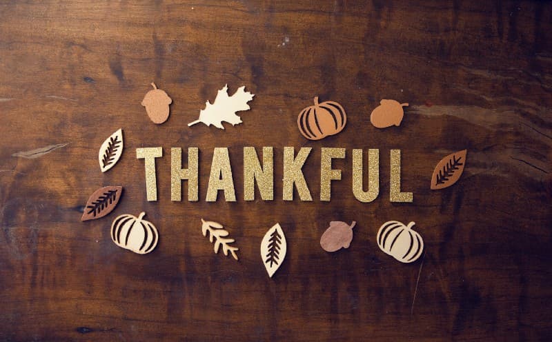 Gratitude, a small but powerful practice